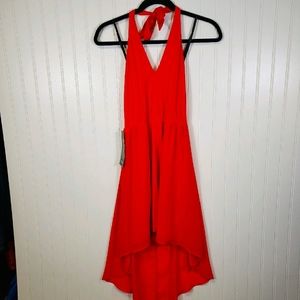 Nwt Bebe Knit High Low Halter Dress